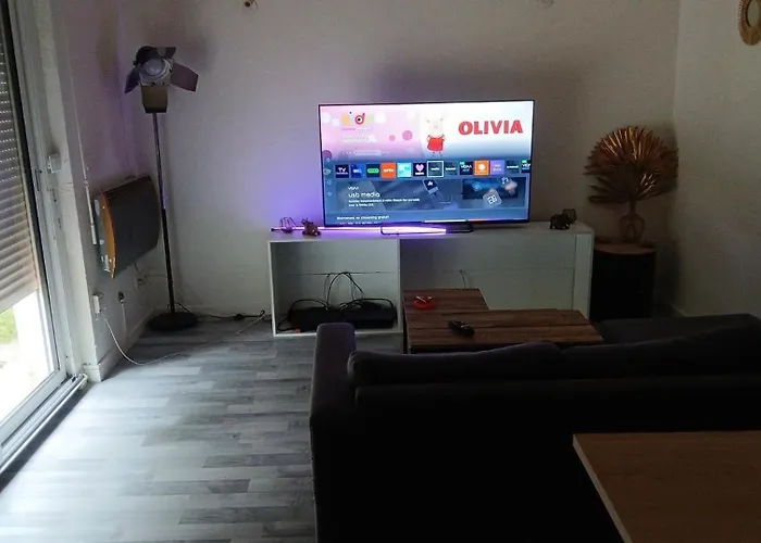 2 Chambres, 4 Personnes, Jardin, Proche Centre Hotel Perpiñán